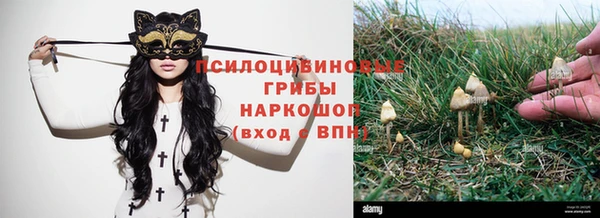 соль курить ск Наволоки