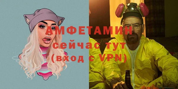 шишки Елабуга