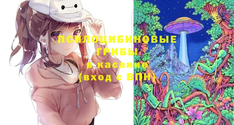 Псилоцибиновые грибы Cubensis Миньяр