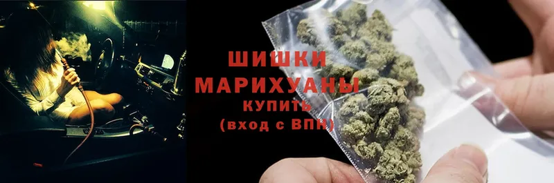 Шишки марихуана SATIVA & INDICA  купить наркотики сайты  Миньяр 